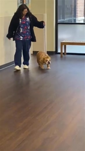 10K views · 146 reactions | Please welcome Ali Cupcake to our rescue...