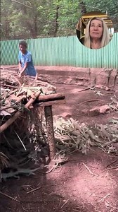 Inside a Wholesale Iguana Facility #reptiles #wholesale #iguana