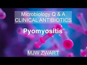 Microbiology Q&A CLINICAL ANTIBIOTICS Pyomyositis