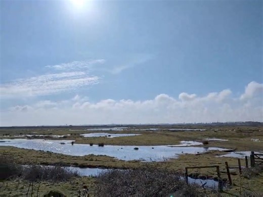 1.9K views · 29 reactions | Lapwings displaying at our nature reserves. Males put on dramatic aerial displays, tumbling through the air, accompanied by their piercing 'peewit' call, which gives them their other, common name: peewit. | Hampshire and Isle of Wight Wildlife Trust | Facebook