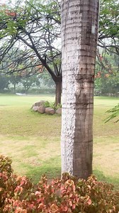 Monsoon wraps Hampi in a charm of its own, and every corner of Hyatt Place feels like a part of that beautiful landscape. Whether you’re exploring the ancient wonders or simply watching the rain paint the hills, this season turns every stay into a peaceful escape. A perfect time for wanderers, explorers or anyone looking for a little getaway wrapped in nature’s calm.📍 Ready for your perfect escape? Book your stay with us today.📞 08395661234 #HyattPlaceHampi #HeritageAndHospitality #WorldOfHyat