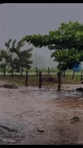 Leandro Riera on TikTok