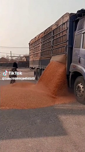 Camouflage Worker Guides Grain from Industrial Truck