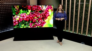 12K views · 675 reactions | COTAÇÃO DO CAFÉ - 26/01/24 | Acompanhe as cotações do café arábica e do café conilon nas praças de Minas Gerais e Espírito Santo. . . . #café #minasgerais #espiritosanto #agro | Rede Mais | Facebook