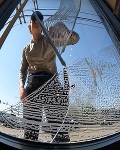 Next level window cleaning! | Creative Bee
