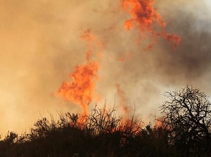 Rain Helped Firefighters Battle Range Fire At Aberdeen Proving Ground