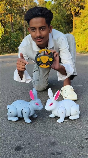 Remote Control 2Ta Rabbit Unboxing Review