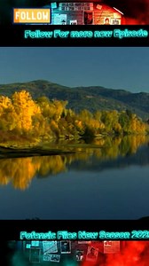 139K views · 3.7K reactions | Forensic Files Season 91 Episode 1409 | Forensic File 2025 | Facebook