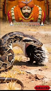 तीन बाण के धारी॥छोटू सिंह रावणा||new bhajan ||khatu shyam|| teen ban ke dhari ||chotu singh rawna 🚩