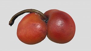 (Weird) Cherry - Download Free 3D model by mjk (@mjkzz)