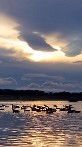 Back To Nature on Reels