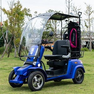 [Hot Item] Customized Golf Cart 2 Seat Outdoor Mobility Electric Adult Golf Scooter Disabled Obese with Roof