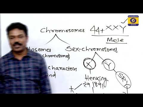 Genetic ( sex determination ) // Class-12 ,Zoology