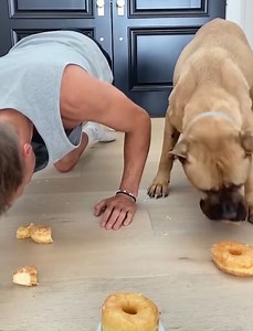 88K views · 1.9K reactions | Donut Race Between Man and Dog | Sadik Hadzovic | Facebook