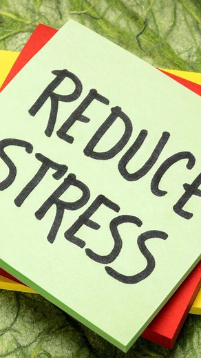 Discover Top 5 Health Benefits of Hot Chocolate Beyond the delightful taste and cozy warmth, hot chocolate offers a surprising range of benefits. Hot chocolate can even give your brain a boost, with studies suggesting flavanols enhance memory and learning.☕華 #thecookbook #health #nutrition #shorts #reels #remedies #benefits #hotchocolate #antioxidants #brainhealth #digestivesupport #healthyliving #nutrientrichfoods #immunesupport #hearthealth | The Cook Book | Facebook