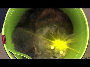 Spooki - Where Am at