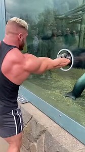 2M views · 18K reactions | Human Tests Strength Against a Gorilla ...