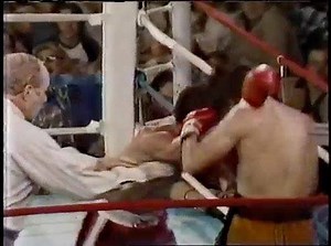 WBC super-bantamweight champion Wilfredo Gomez extended his record to...