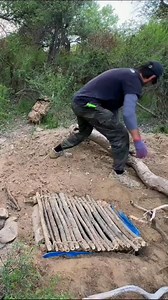 #survival #outdoors #nature #mountains #camping #viral | Film Buff Network