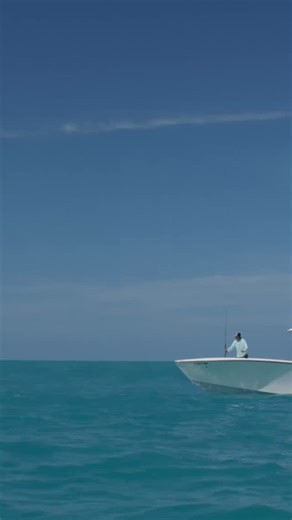 36 reactions | Doubled Up! : Fishing with Zeus in Key West! | S10:E2 Local Knowledge is Available on YouTube, Waypoint TV & Streaming apps | Local Knowledge | Facebook