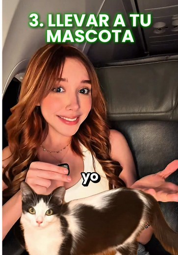 Qué sí y no puedes hacer en un vuelo comercial