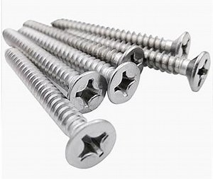 [Hot Item] 10mm Heavy Duty Self Tapping Screws for Treated Wood