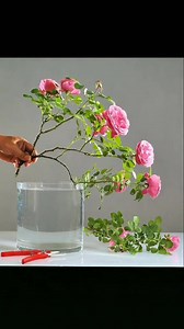 Cắm hoa nghệ thuật | Dự Nguyễn