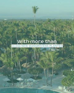 The natural barriers formed by mangroves are vital for the well-being of the beaches and coasts of such incredible places as Playa Bávaro in the Dominican Republic. That is why we continue to promote responsible tourism and care for the ecosystems that are so important for the destinations where we operate. | Iberostar Beachfront Resorts