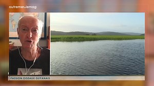 📸🐦🦜🦅 Michel Renard vit depuis 30 ans en Guyane. Ce passionné d'oiseaux ne se lasse pas de les photographier. Il donne ses conseils pour les photographes amateurs qui seraient passionnés par nos amis à plume. | C pas si loin