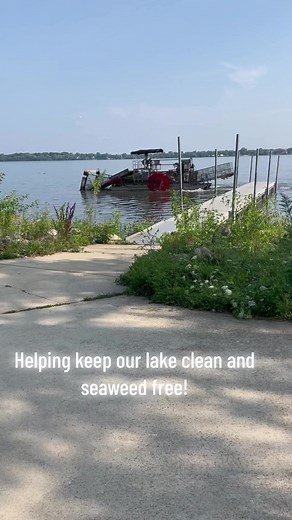 1.3K views · 29 reactions | Thanks to our partner organizations that help keep lake Monona clean, safe & fun for us to use! Today Dane County Parks is out clearing seaweed! Public Health Madison & Dane County tested and the beach is open! Clean Lakes Alliance is always cheering on clean lake practices! #takesateam #lakelife #cleanlakes | Monona Parks & Recreation | Facebook