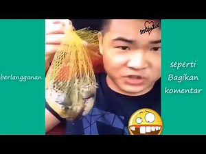video lucu banget bikin ngakak china 2018 | laugh Tube