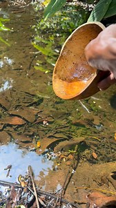 2.9K views · 51 reactions | #trendingreel233543944191 #viralvideoシ #spiritual #ProtectionPrayers #praying | Agya Suro Nnipa | Facebook