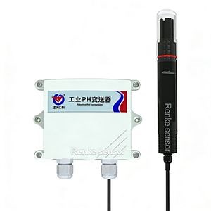[Hot Item] Cheap Price Modbus Water Quality pH Sensor Electrode with Data Logger
