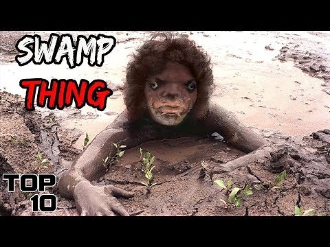 Top 10 Scary Creatures Found In Swamps