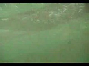 Tribal Women fishing