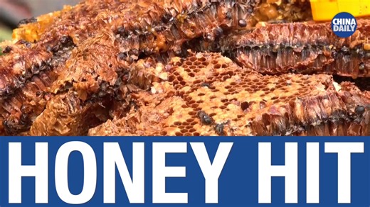 Honey hunters in Nepal feel the sting of climate change, as bee numbers dwindle and crop pollination affects crop yields. | China Daily Hong Kong