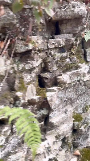 Hiking the Allegheny Trail today! | Micky Sponaugle