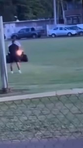 Got to know what your doing on a Banshee…#bansheeapparel #banshees #2strokes #twostrokes #clothingbrand #clothingline #2strokes4life #embroidery #snapbacks #accessories #oem #stickers #decals #southforida #fortmyers #capecoral #Dunbar #graphickits #parts | Banshee Apparel