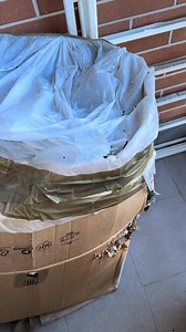 Ancora Vespula germanica a Roma. | Andrea Lunerti