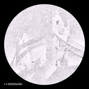 File:Modeling-Filamentous-Cyanobacteria-Reveals-the-Advantages-of-Long-and-Fast-Trichomes-for-Optimizing-pone.0022084.s002.ogv - Wikimedia Commons