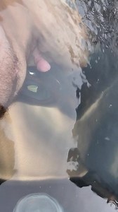 Whirlpool-Jet bringt mich zum Kommen