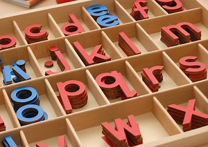 Montessori Wooden Movable Alphabet Language Learning Set - Etsy