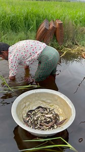 Indian rural fishing | Fishing Village