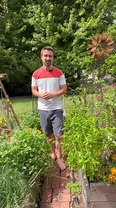 To understand the language of the bees,🐝we have to imagine the top of the hive wall representing the direction in which the sun☀️is positioned when the bee exits the hive. From there, the bees waggle their abdomen, or butts, in the direction of the flowers relative to the sun’s position when they exit the hive. The duration of the waggle represents the distance. They even adjust the angle as the sun moves across the sky. ☀️ If the waggle is towards the bottom of the hive, then the flowers are i