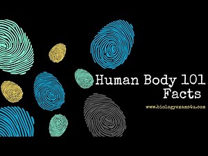 Human Body 101 Facts || Human Physiology Facts || Human biology ‪@biologyexams4u‬