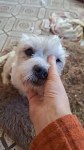 Association "Vivre Libre" on Reels