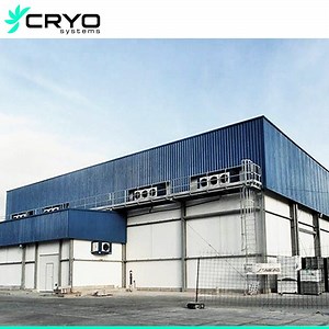 [Hot Item] Beef Cow Mexican Hass Avocado Warehouse Coolers and Freezers Buy Walk in Cooler Cold Storage Head Office