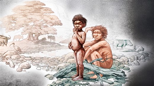 2-million-year-old Homo erectus found in Ethiopian highlands