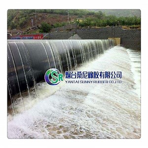 [Hot Item] China Leading Brand Peaumatic Actuated Spillway Gate for Water Control