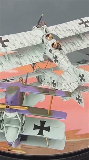 1/72 Roland C.II & T.28 Floh #ww1 #aviation #history